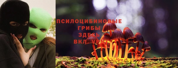 дурь Алексин