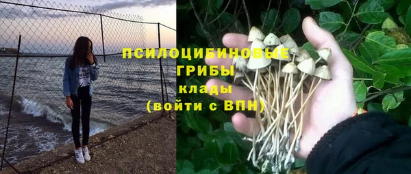 гидропоника Абаза