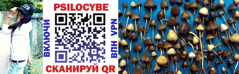цена наркотик  мега маркетплейс  Галлюциногенные грибы Psilocybine cubensis  Королёв 